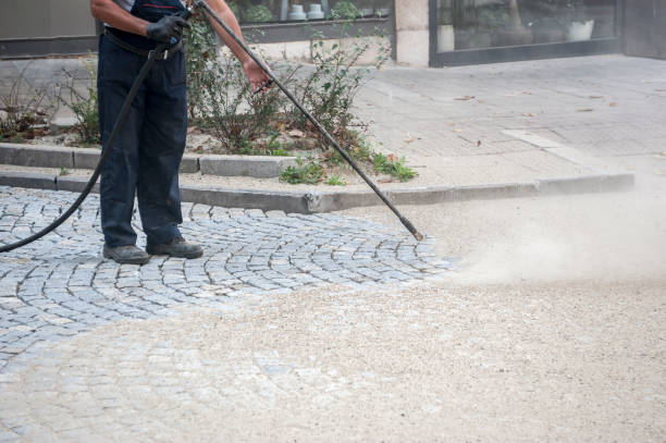 Best Pre-Holiday Cleaning  in Boyce, LA