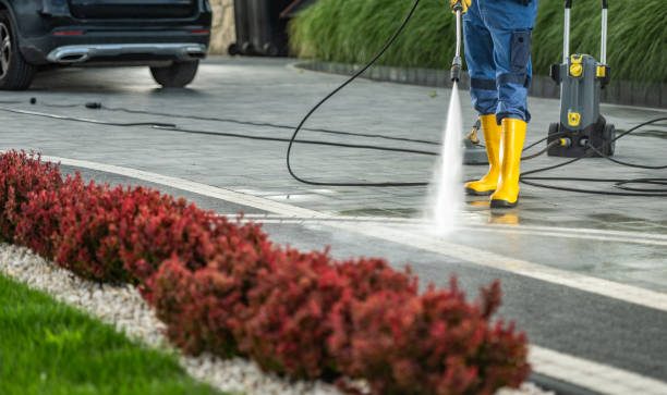 Animal Enclosure Cleaning in Boyce, LA